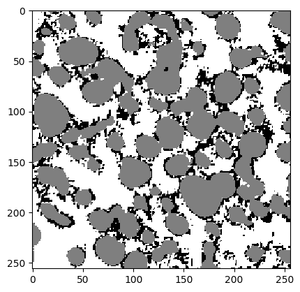 ../_images/notebooks_01-tortuosity_19_1.png